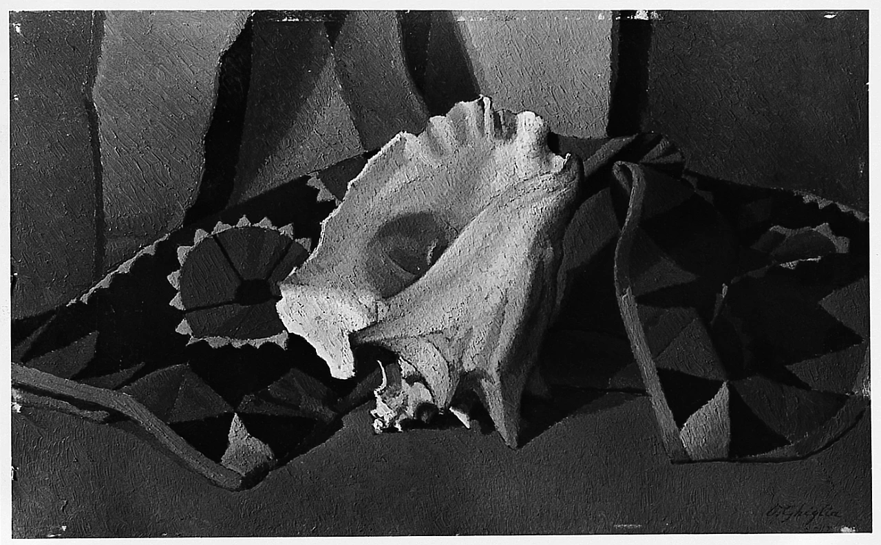 Natura morta con conchiglia - Gallerie degli Uffizi, Galleria d’arte moderna, Firenze 1